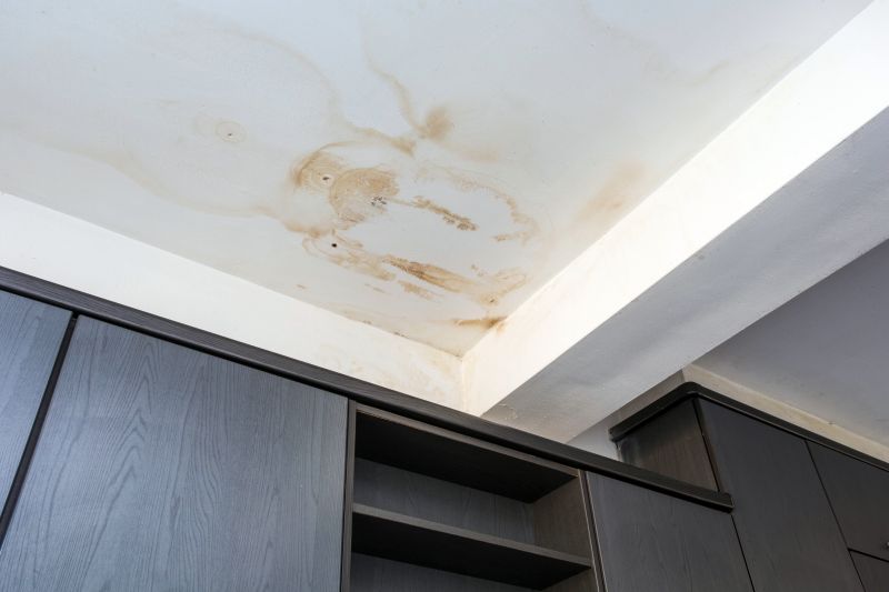 Bathroom Water Damage Repair in Denver County, CO