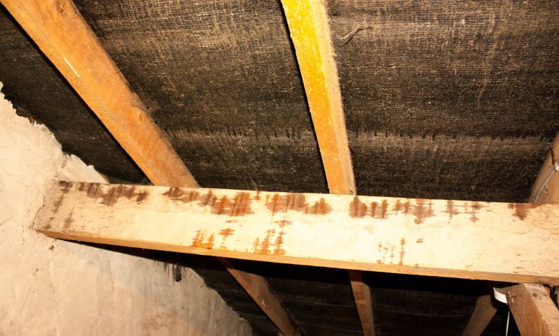 House Restoration in Houston, TX