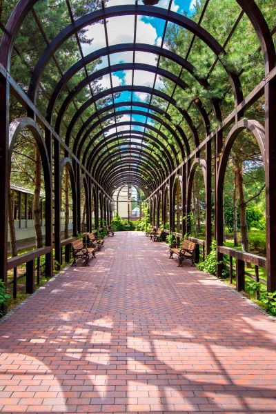Backyard Pergola Construction