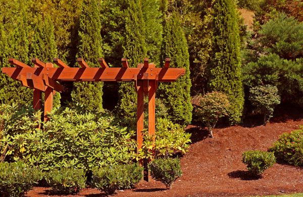 Cedar Pergola Assembly